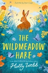 Wildmeadow Hare цена и информация | Книги для подростков и молодежи | pigu.lt