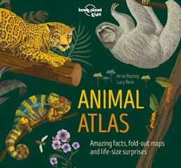 Animal Atlas цена и информация | Книги для подростков  | pigu.lt