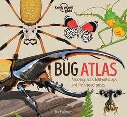 Lonely Planet Kids Bug Atlas цена и информация | Книги для подростков  | pigu.lt