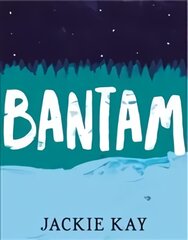 Bantam Main Market Ed. цена и информация | Поэзия | pigu.lt