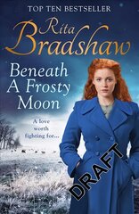 Beneath a Frosty Moon цена и информация | Романы | pigu.lt