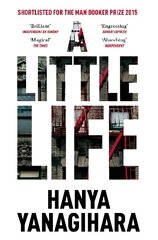 Little Life цена и информация | Фантастика, фэнтези | pigu.lt