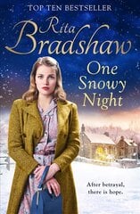 One Snowy Night kaina ir informacija | Fantastinės, mistinės knygos | pigu.lt