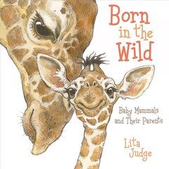 Born in the Wild: Baby Animals and Their Parents цена и информация | Книги для подростков и молодежи | pigu.lt