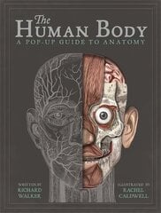 The Human Body: A Pop-Up Guide to Anatomy цена и информация | Книги для малышей | pigu.lt
