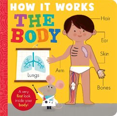 How it Works: The Body: HIW: Body kaina ir informacija | Knygos mažiesiems | pigu.lt
