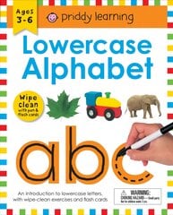 Wipe Clean Workbook: Lowercase Alphabet (Enclosed Spiral Binding): Ages 3-6; With Pen & Flash Cards цена и информация | Книги для подростков  | pigu.lt