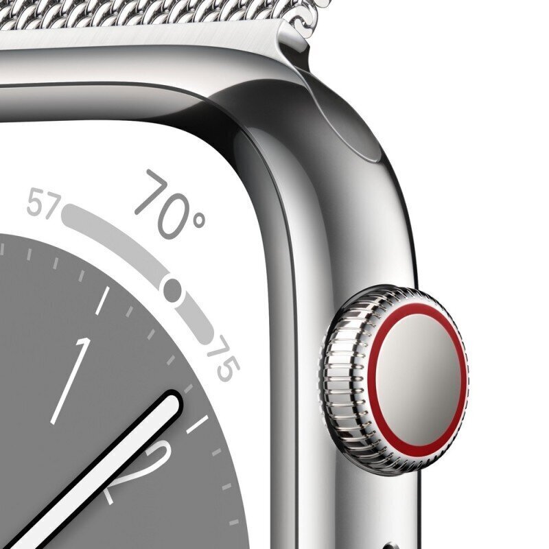 Apple Watch Series 8 GPS + Cellular 41mm Silver Stainless Steel Case ,Silver Milanese Loop MNJ83UL/A kaina ir informacija | Išmanieji laikrodžiai (smartwatch) | pigu.lt