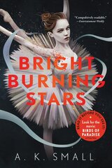 Bright Burning Stars kaina ir informacija | Knygos paaugliams ir jaunimui | pigu.lt