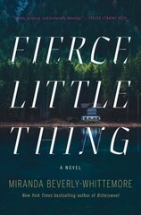Fierce Little Thing: A Novel kaina ir informacija | Fantastinės, mistinės knygos | pigu.lt