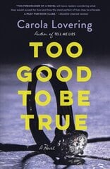 Too Good to Be True: A Novel цена и информация | Фантастика, фэнтези | pigu.lt