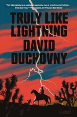 Truly Like Lightning: A Novel цена и информация | Фантастика, фэнтези | pigu.lt