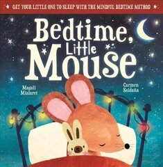 Bedtime, Little Mouse kaina ir informacija | Knygos mažiesiems | pigu.lt