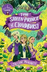 Stolen Prince Of Cloudburst цена и информация | Книги для подростков  | pigu.lt