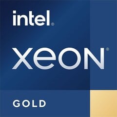 Intel Xeon Gold 6248 (BX806956248) kaina ir informacija | Procesoriai (CPU) | pigu.lt