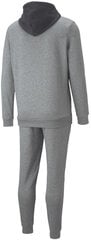 Cпортивный костюм Puma Hooded Sweat Suit Grey 670034 03 670034 03/L цена и информация | Мужская спортивная одежда | pigu.lt