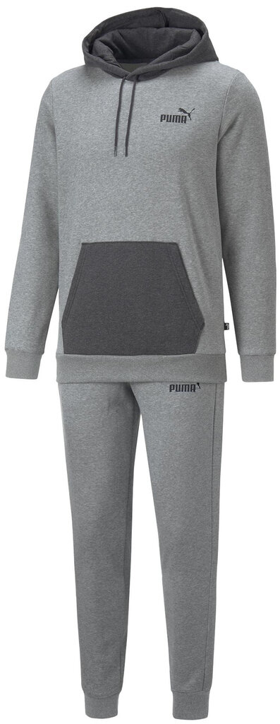 Sportinis kostiumas vyrams Puma Hooded Sweat Suit 670034 03 kaina ir informacija | Sportinė apranga vyrams | pigu.lt