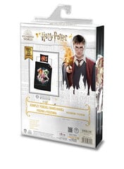 Детский комплект постельного белья Harry Potter  140x200см, 2 части цена и информация | Детское постельное бельё | pigu.lt