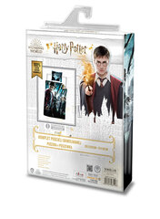 Vaikiškas patalynės komplektas Harry Potter, 160x200, 2 dalių kaina ir informacija | Patalynė kūdikiams, vaikams | pigu.lt