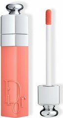 Lūpų dažai Dior Addict Lip Tint Tinte De Labios 351 Nude, 5ml kaina ir informacija | Lūpų dažai, blizgiai, balzamai, vazelinai | pigu.lt