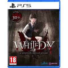 White Day A Labyrinth Named School цена и информация | Компьютерные игры | pigu.lt