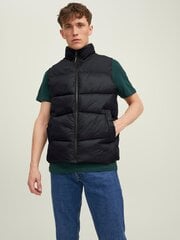 Liemenė vyrams Jack & Jones 1221222101 5715310463692, juoda kaina ir informacija | Vyriškos liemenės | pigu.lt