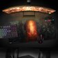 Diablo IV Gate of Hell pelės kilimėlis, 940x420x4mm kaina ir informacija | Pelės | pigu.lt