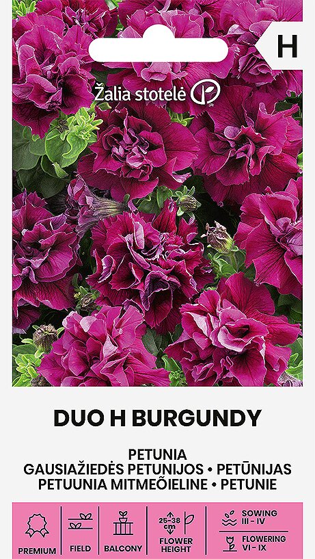 Petunijos gausiažiedės duo h burgundy цена и информация | Gėlių sėklos | pigu.lt