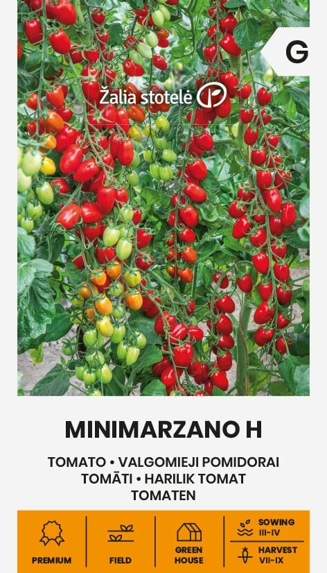 Pomidorai valgomieji minimarzano h kaina ir informacija | Daržovių, uogų sėklos | pigu.lt