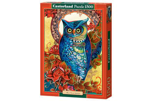 Dėlionė Castorland Copy of Hoot, David Galchutt, 1500 dalių цена и информация | Пазлы | pigu.lt