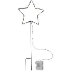 Светодиодный уличный светильник - звезда на батарейках Neonstar 857-06, 0.5Вт, 22х58 см  цена и информация | Праздничные декорации | pigu.lt