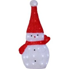 LED kalėdinės šviesos dekoro sniego senelis baltas 0,9W 59x27 cm Crystalo 587-25 цена и информация | Рождественские украшения | pigu.lt