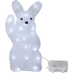 LED šviesos dekoravimo zuikis baltas 0,9W 14,5x29 cm 3xAA 30LED Crystalo 583-13 kaina ir informacija | Kalėdinės dekoracijos | pigu.lt