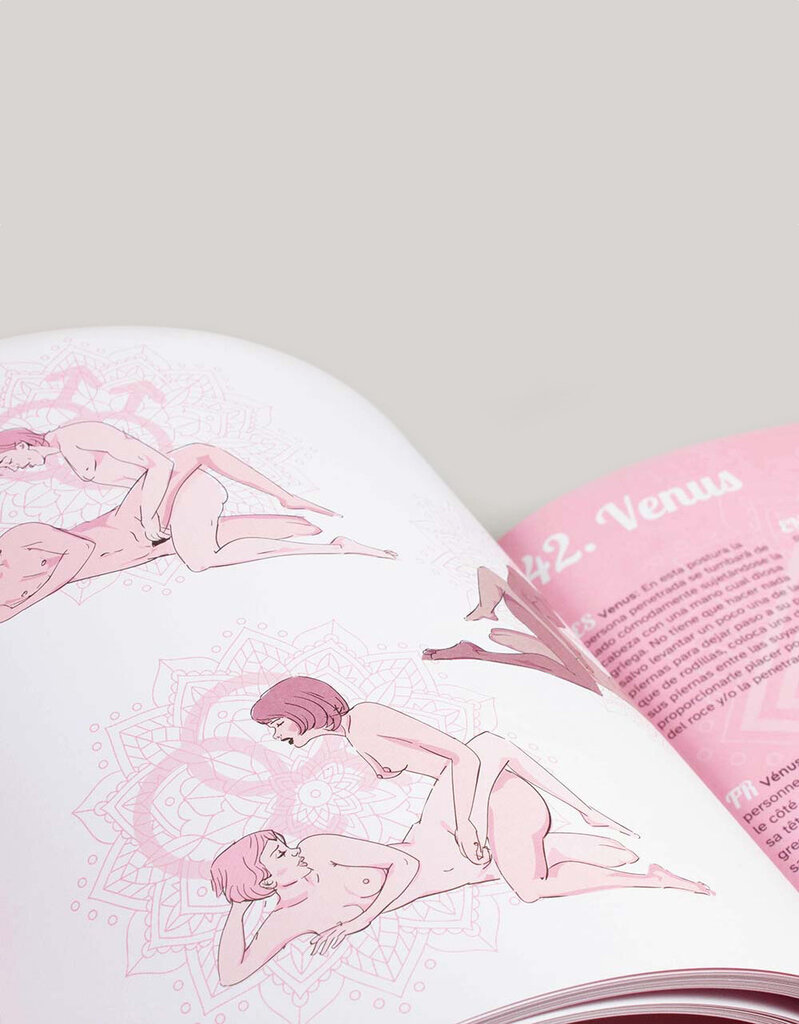 Иллюстрированная книга с 69 секс-позами Secret Play 69 Kmasutra Sex Positions For All EN-NL-DE-FR-ES-PT цена | n18.pigu.lt