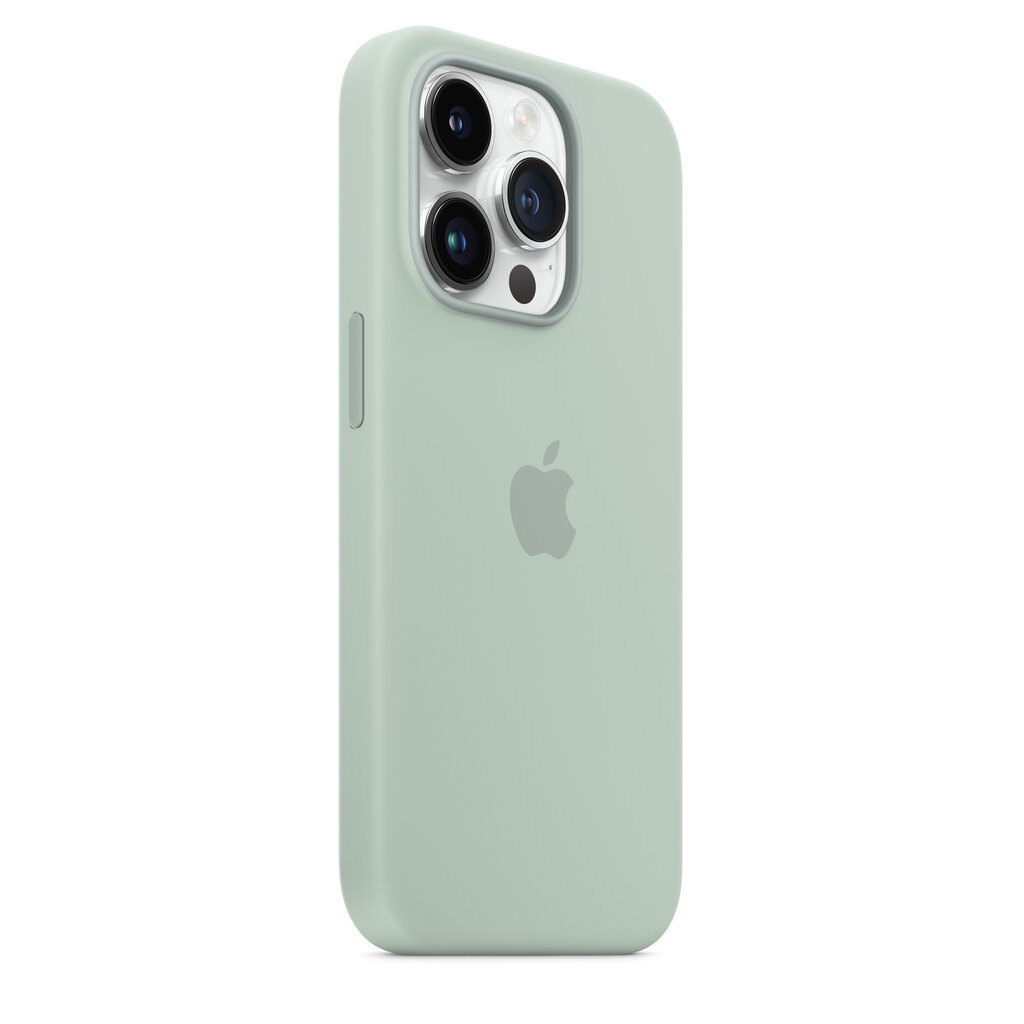 Apple Silicone Case MagSafe MPTY3ZM/A Succulent kaina ir informacija | Telefono dėklai | pigu.lt