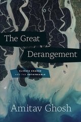 Great Derangement: Climate Change and the Unthinkable kaina ir informacija | Istorinės knygos | pigu.lt