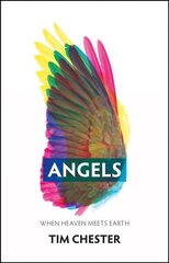 Angels: When Heaven Meets Earth kaina ir informacija | Dvasinės knygos | pigu.lt