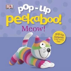 Pop-Up Peekaboo! Kitten цена и информация | Книги для малышей | pigu.lt