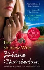 Shadow Wife kaina ir informacija | Fantastinės, mistinės knygos | pigu.lt