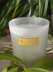 Aromatinė žvakė Lothantique Gold, myrrh & incense 160g kaina ir informacija | Žvakės, Žvakidės | pigu.lt