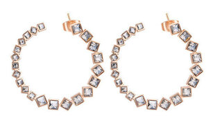 Brosway Круглые серьги с кристаллами Symphonia BYM74 цена и информация | Серьги | pigu.lt