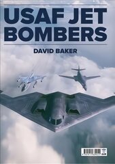 USAF Jet Bombers цена и информация | Книги по социальным наукам | pigu.lt