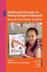 Multimodal Literacies in Young Emergent Bilinguals: Beyond Print-Centric Practices kaina ir informacija | Socialinių mokslų knygos | pigu.lt