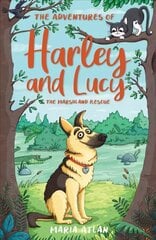 Adventures of Harley and Lucy: The Marshland Rescue цена и информация | Книги для подростков  | pigu.lt