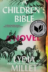Children's Bible: A Novel kaina ir informacija | Fantastinės, mistinės knygos | pigu.lt