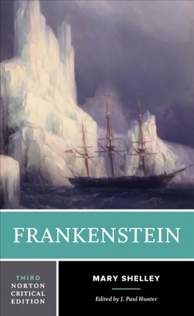 Frankenstein Third Edition kaina ir informacija | Istorinės knygos | pigu.lt