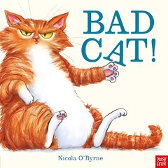 Bad Cat! цена и информация | Книги для малышей | pigu.lt