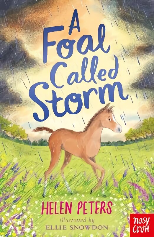 Foal Called Storm kaina ir informacija | Knygos paaugliams ir jaunimui | pigu.lt