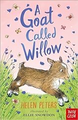 Goat Called Willow цена и информация | Книги для подростков и молодежи | pigu.lt