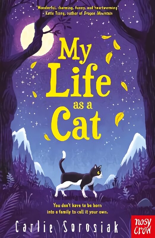 My Life as a Cat kaina ir informacija | Knygos paaugliams ir jaunimui | pigu.lt